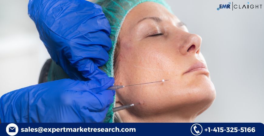Aesthetic Threads Market Size, Trends, Growth & Forecast 2025–2034
